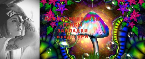 мет Алексин