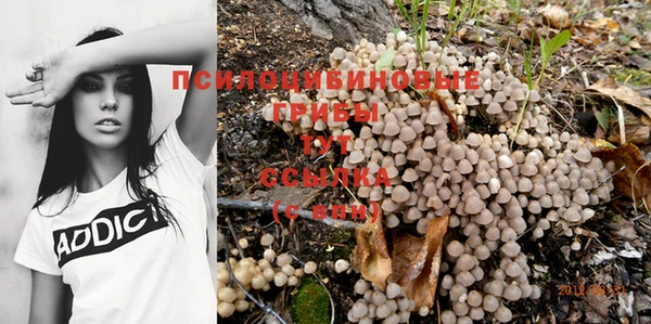 ECSTASY Алексеевка